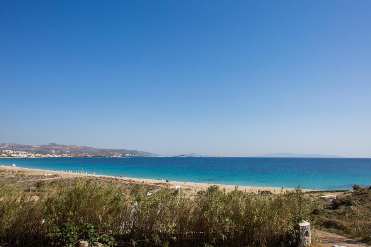 Naxian Riviera Exclusive Seafront Suites, Junior Suite アギオス・プロコピオス エクステリア 写真